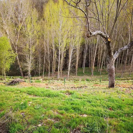 Local Madre De Cima Lantställe *