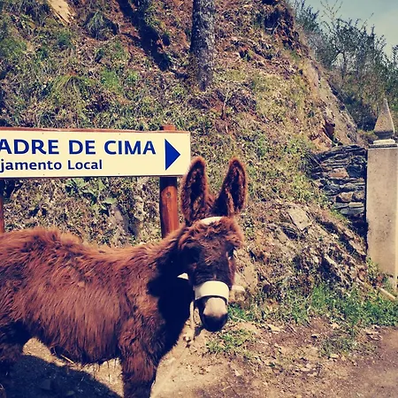 Local Madre De Cima Kır Evi Vinhais