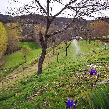Lantställe Local Madre De Cima *