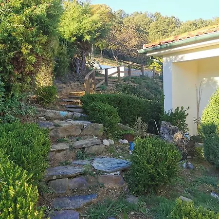 Local Madre De Cima * Vinhais