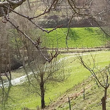 Local Madre De Cima Lantställe