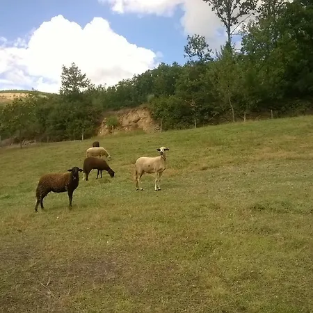 Casa de Campo Local Madre De Cima *