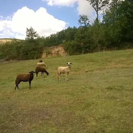 Country house Local Madre De Cima *