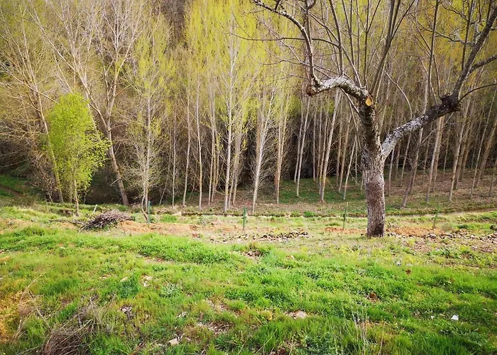 Local Madre De Cima Hétvégi ház *