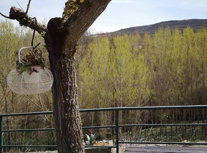 Hétvégi ház Local Madre De Cima *