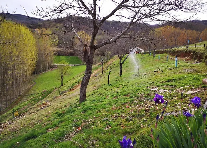 Hétvégi ház Local Madre De Cima *