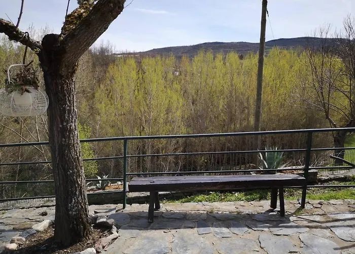 Local Madre De Cima *