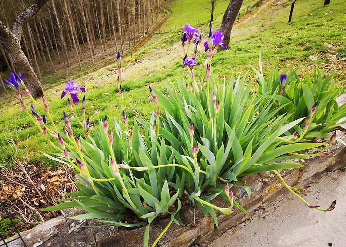 Hétvégi ház Local Madre De Cima