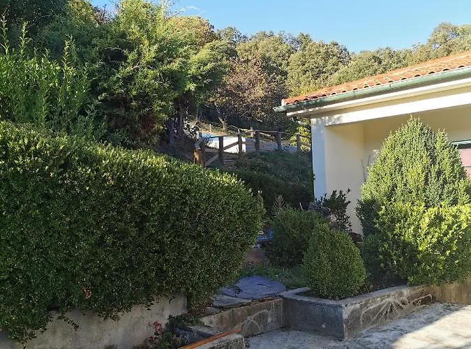 Local Madre De Cima Lantställe *