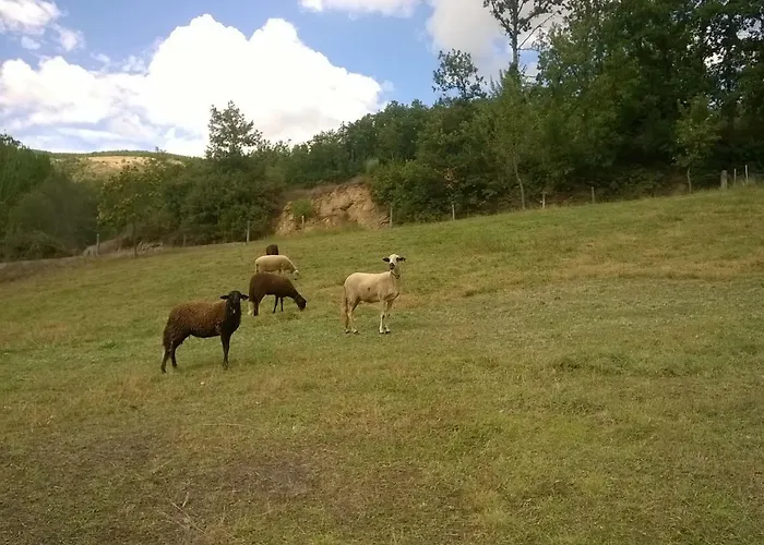 Hétvégi ház Local Madre De Cima *